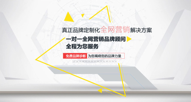 企业网站营销方案 